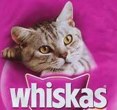 Whiskas Nemzetközi Macskakiállítás és Doromboló nap