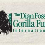 Dian Fossey Gorilla Alapítvány
